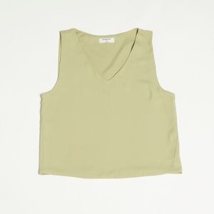 Aritzia Top